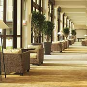 2 photo hotel RADISSON SAS AT DISNEYLAND PAR, Paris, France