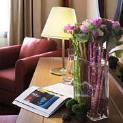 5 photo hotel RADISSON SAS AT DISNEYLAND PAR, Paris, France